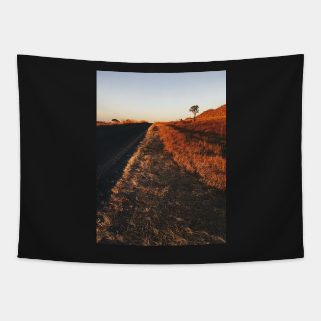 Single Tree in Dry Grassland in Warm Sunset Light Tapestry by visualspectrum