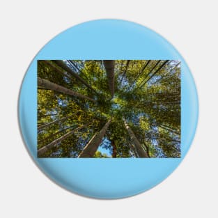 Bamboo Forest Canopy Pin