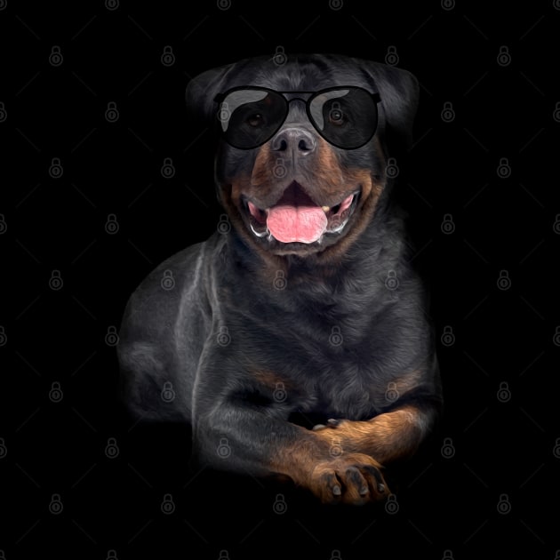 Rottweiler  - Metzgerhund by Nartissima