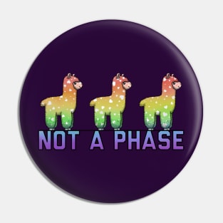 Not A Phase Rainbow Pin