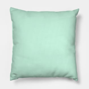 Pastel Green Plain Solid Color Pillow