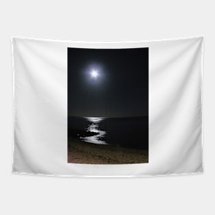 *Moonlight on Lyme Bay* Tapestry