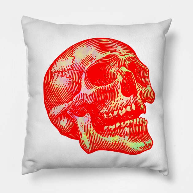 Skull Pillow by Pau1216p