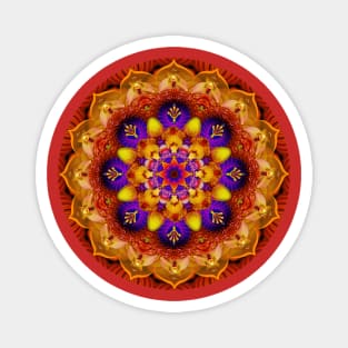 Mandala Magic - Daily Focus 11.15.2023 Magnet