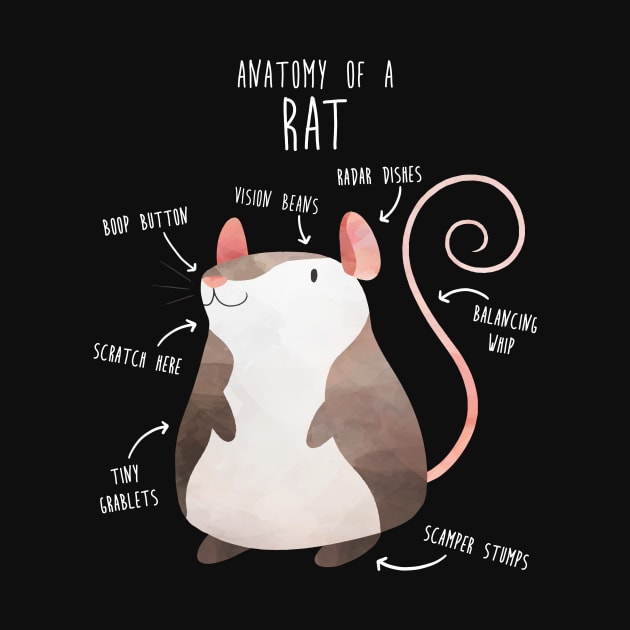 Anatomy of a Rat by Psitta