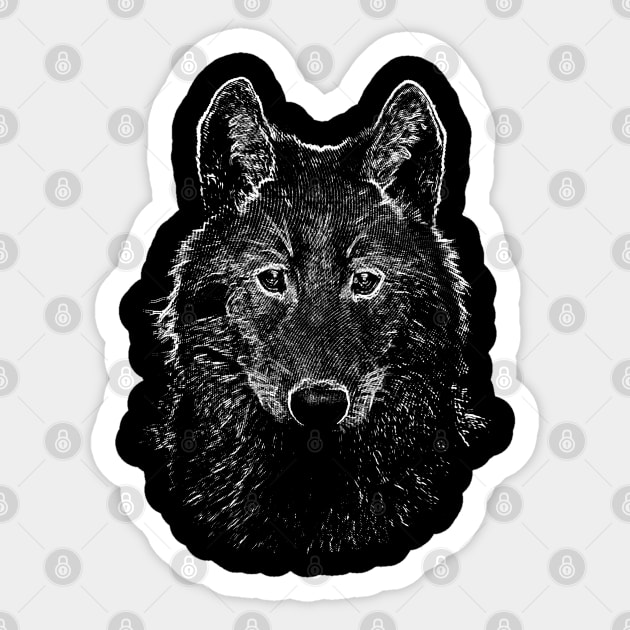 Realistic Grey Wolf Portrait Tattoo Drawing on White Background Stock  Illustration - Illustration of hand, darks: 284575622