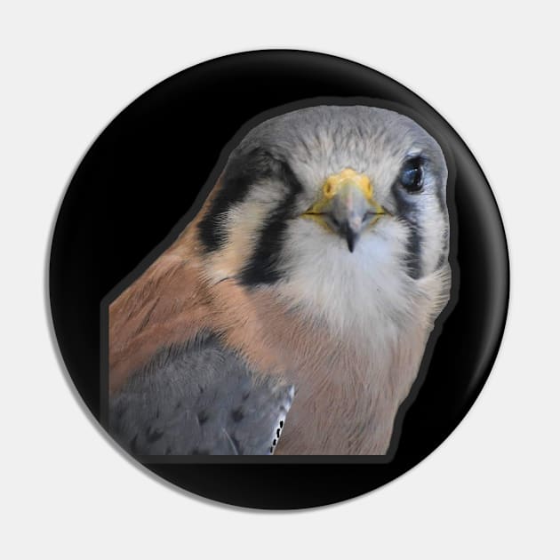 Kestrel Pin by Sharonzoolady