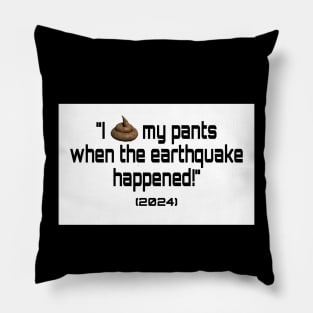 Earthquake Pillow