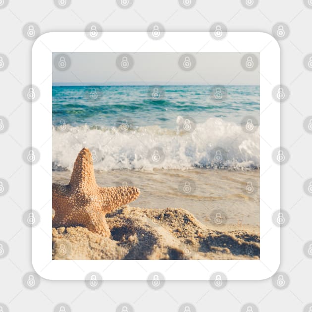 Star fish on the beach Magnet by ArtoTee