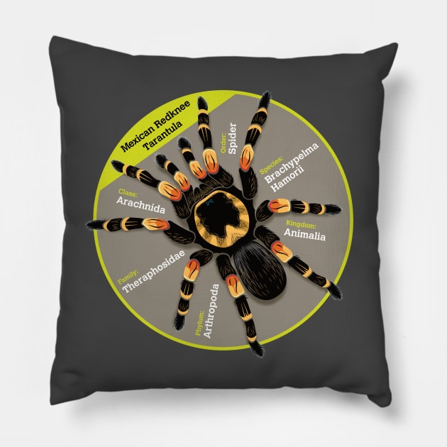 Tarantula Pillow by Rosado