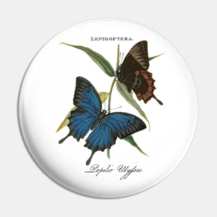 Ulysses butterfly Pin