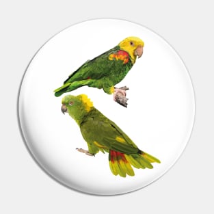 Parrots Pin