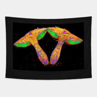 Psychedelic Shrooms Tapestry