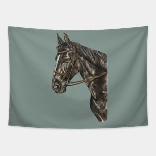 Beautiful Black Horse Wearing Head Halter Tapestry