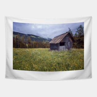 Cabin on the Mountain Tapestry