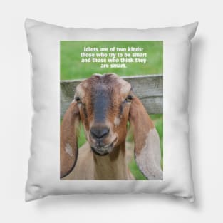 Idiots are of two kinds: those who try to be smart and those who think they are smart. Pillow