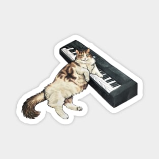 Musical Cat Magnet