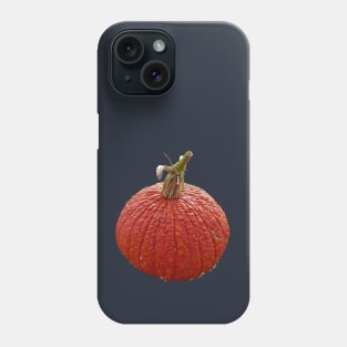 Orange Bumpy Pumpkin for Halloween Decoration Phone Case