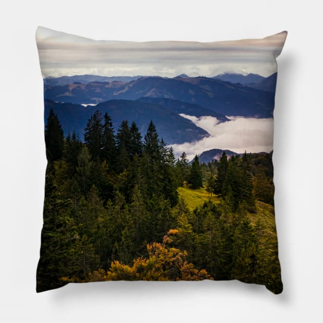 Straubinger Haus Pillow by EviRadauscher