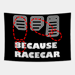 Because Racecar Tapestry