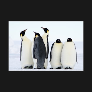 Emperor Penguins T-Shirt