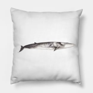 Fin whale Balaenoptera physalus Pillow