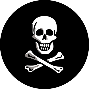 Jolly Roger Skull and Cross bones Magnet