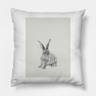 Rabbit 29 Pillow