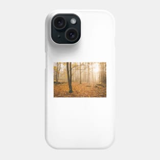 Foggy morning autumn forest Phone Case