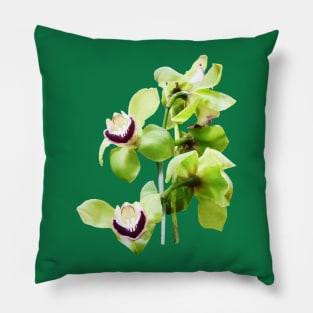 Orchids - Green Cymbidium Orchids Pillow