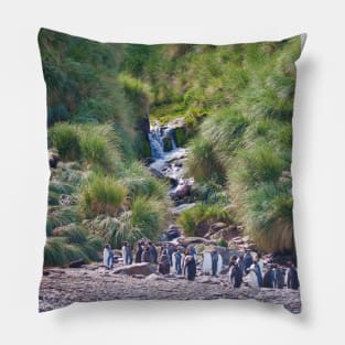 PENGUINS ON A PEBBLE BEACH Pillow