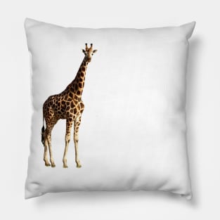 Ugandan Safari Giraffe Pillow