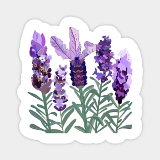 Lavender Magnet