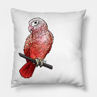 Bird - African Grey Parrot - Pink Pillow