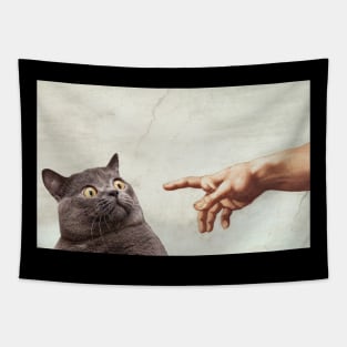 The Creation of Adam - Funny Gift for Cat and Art Lovers, Best for Birthday, Christmas or any Occasion Tapestry