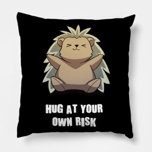 Hug At Your Own Risk Funny Sarcastic Anime Hedgehog Pillow