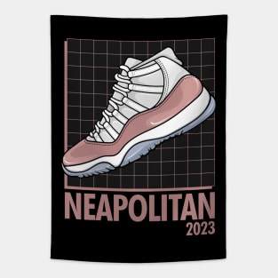 AJ 11 Retro Neapolitan Sneaker Tapestry