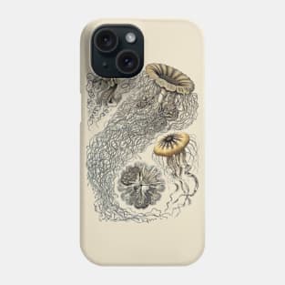 Ernst Haeckel  Jellyfish Sepia Phone Case