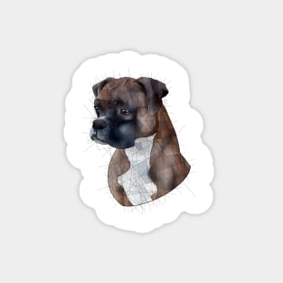 Boxer Magnet