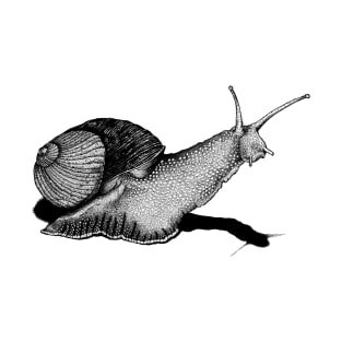 Snail T-Shirt