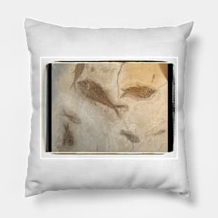 Fossil Pillow