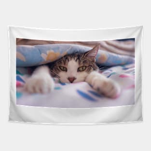 Brown Tabby Cat Tapestry