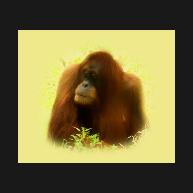 Orangutan by Guardi