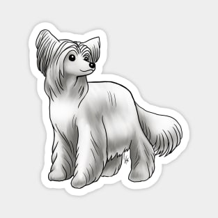 Dog - Chinese Crested - Powderpuff - White Magnet