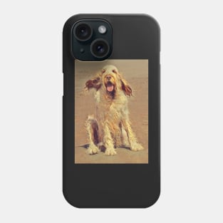 Sitting on a Beach Spinone Phone Case