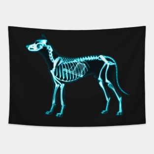 X-ray proof - My dog has eaten my homework Tapestry