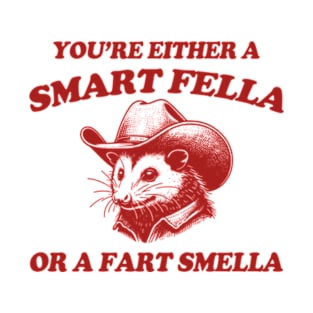 You're Either A Smart Fella Or A Fart Smella Possum Silly Meme T-Shirt