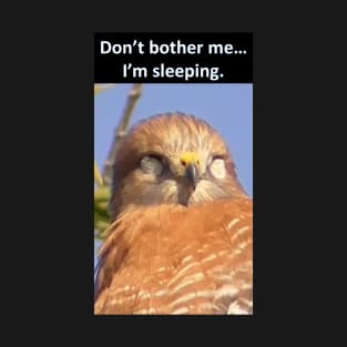 Hawk Sleeping "Don't bother me...I'm sleeping" T-Shirt