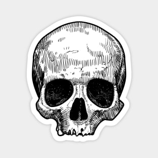 Drawing of a skull Magnet