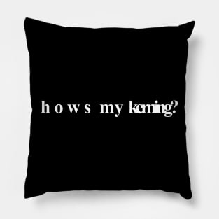 Hows My Kerning? Pillow